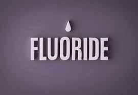 Water Filter Cartridge (Aries Filter Works) FLUORIDE REMOVAL